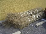 画像 040.jpg
